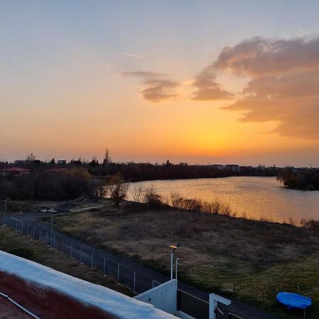 Herastrau Park Букурещ Екстериор снимка